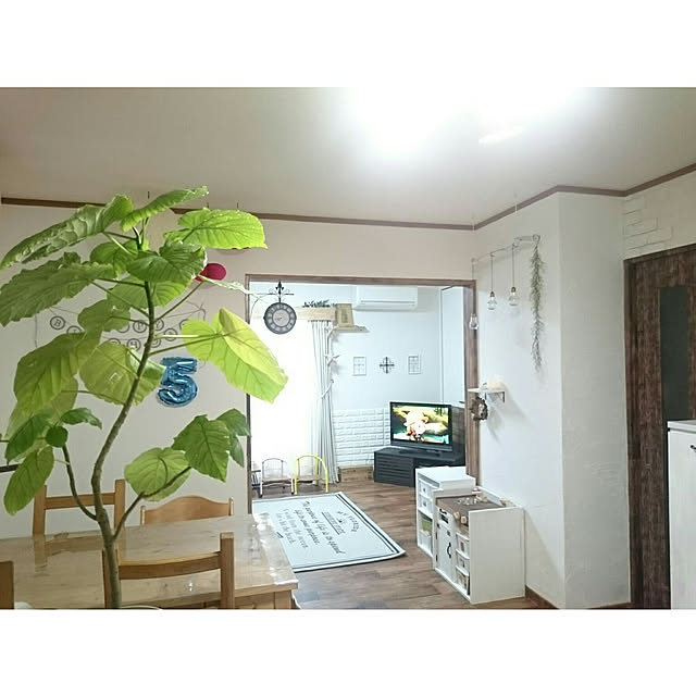 Lilyさんの実例写真