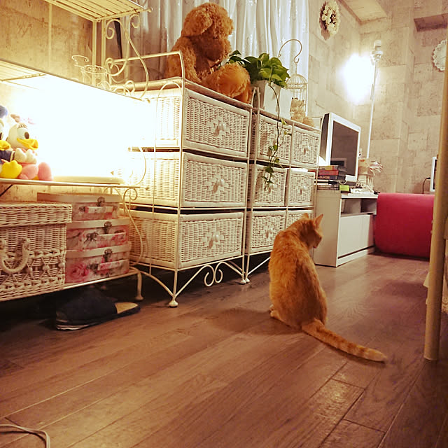 asuminさんの実例写真