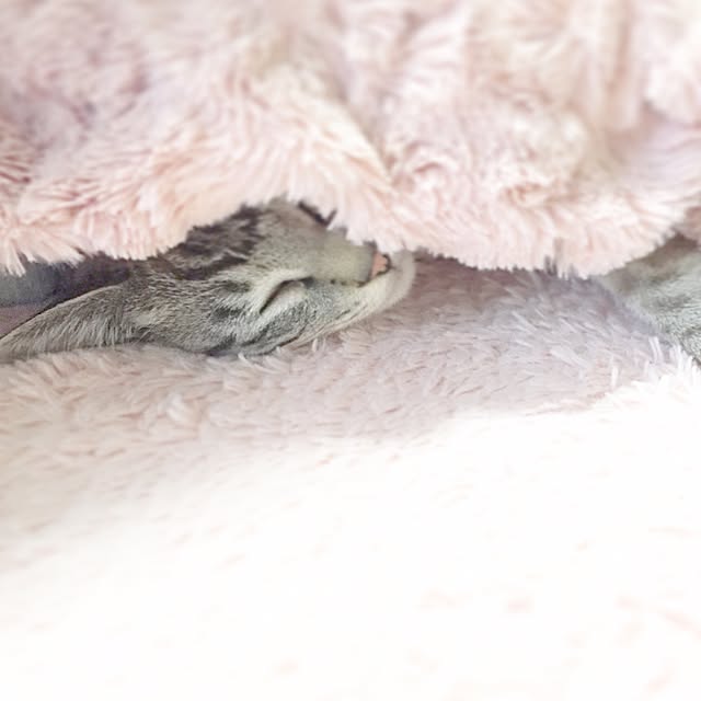 chieさんの実例写真