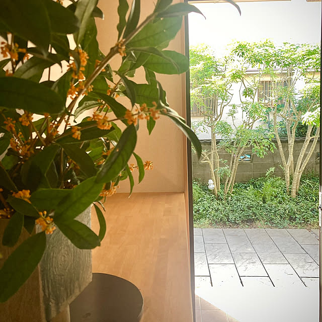 kaoriさんの実例写真