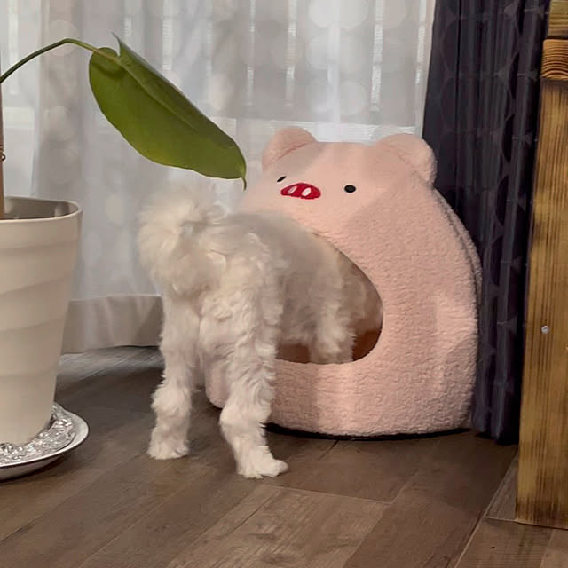 mimiさんの部屋
