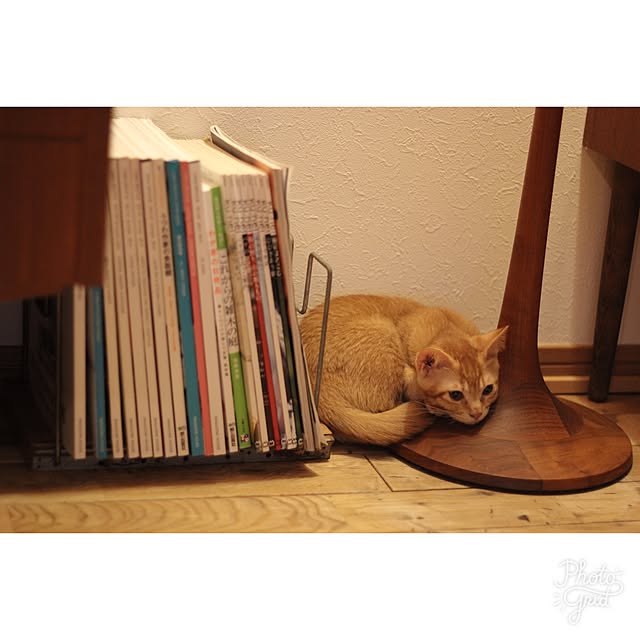 Hisashiさんの実例写真