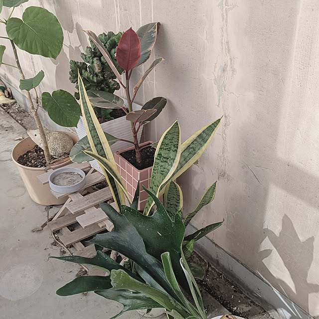 monnさんの実例写真