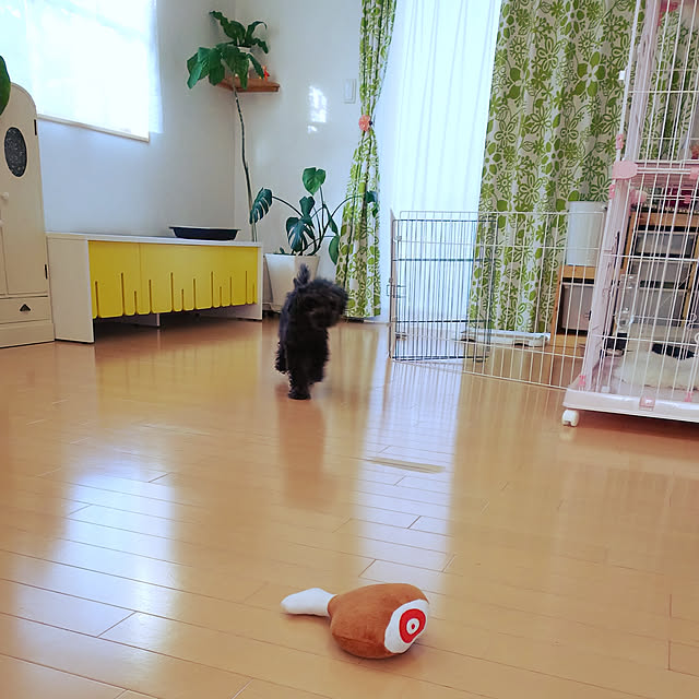 imacoco-3さんの実例写真
