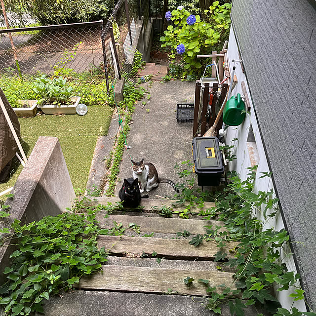 jijiさんの実例写真