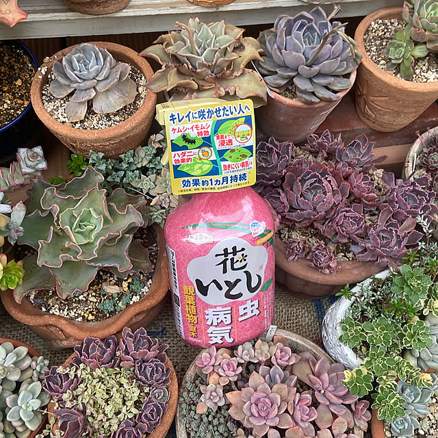 na-chanさんの部屋