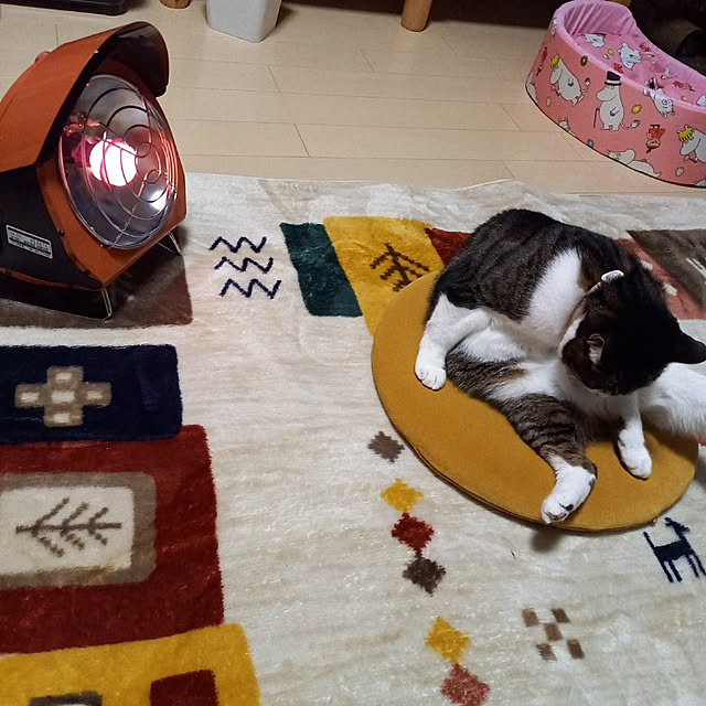 civicglさんの実例写真