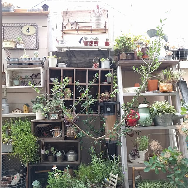kokkomachaさんの実例写真