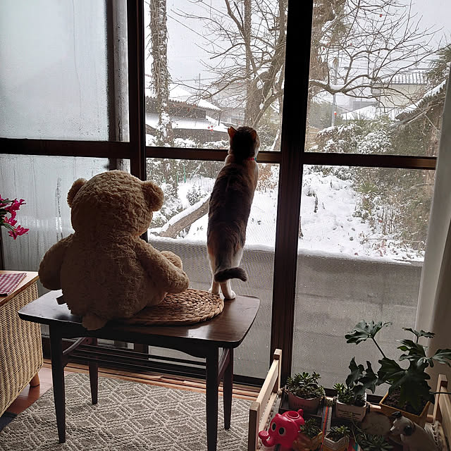 fukuさんの実例写真