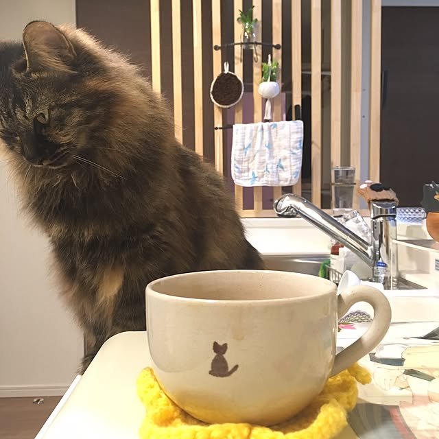 mikomaruさんの実例写真