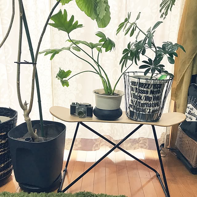 franさんの実例写真
