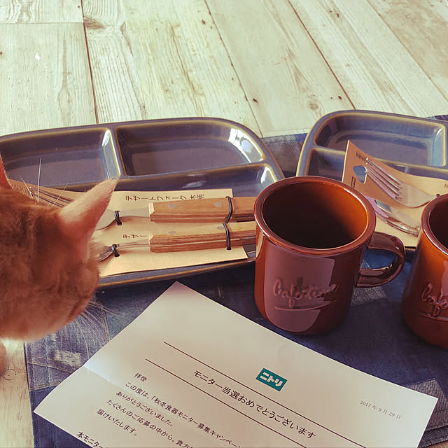 miyamiさんの実例写真