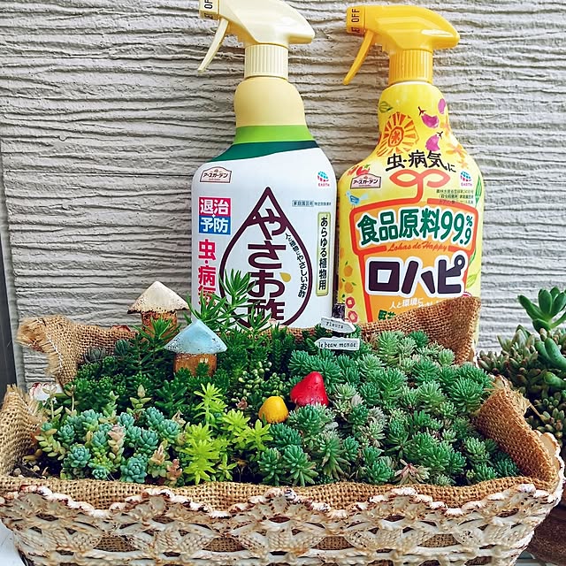 meiさんの実例写真