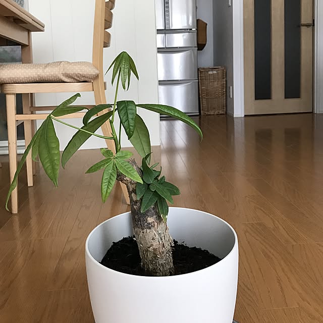 pontaさんの実例写真