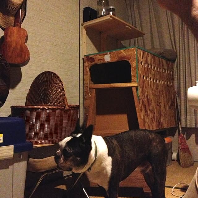 Akiraさんの実例写真