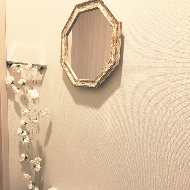 Shinoさんの実例写真