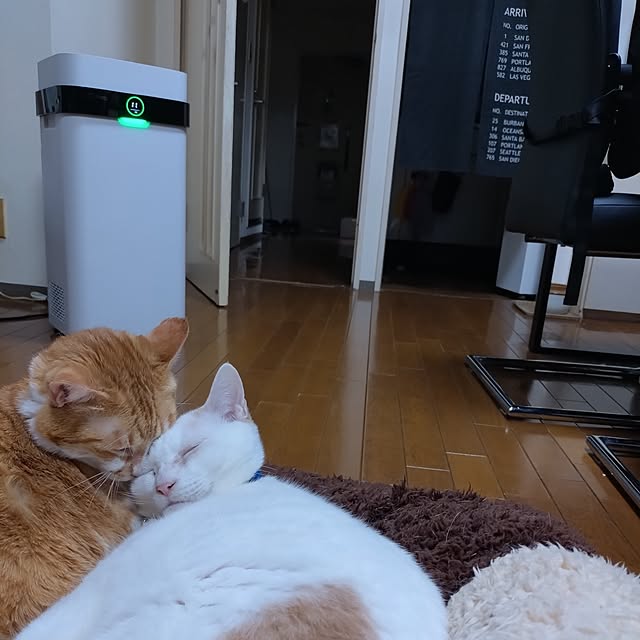 NOAHさんの実例写真