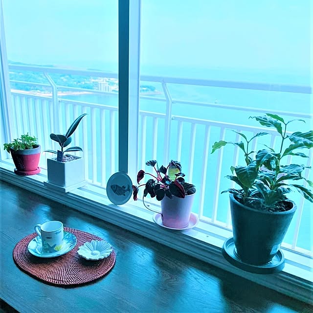 tabideai-aiさんの実例写真