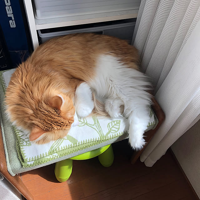 uchidaizuさんの実例写真