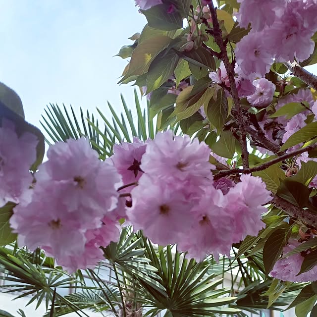 hiro.904さんの部屋