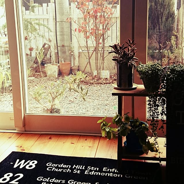 naoonさんの実例写真