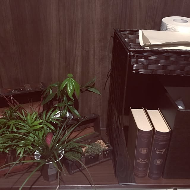 kokepapaさんの実例写真