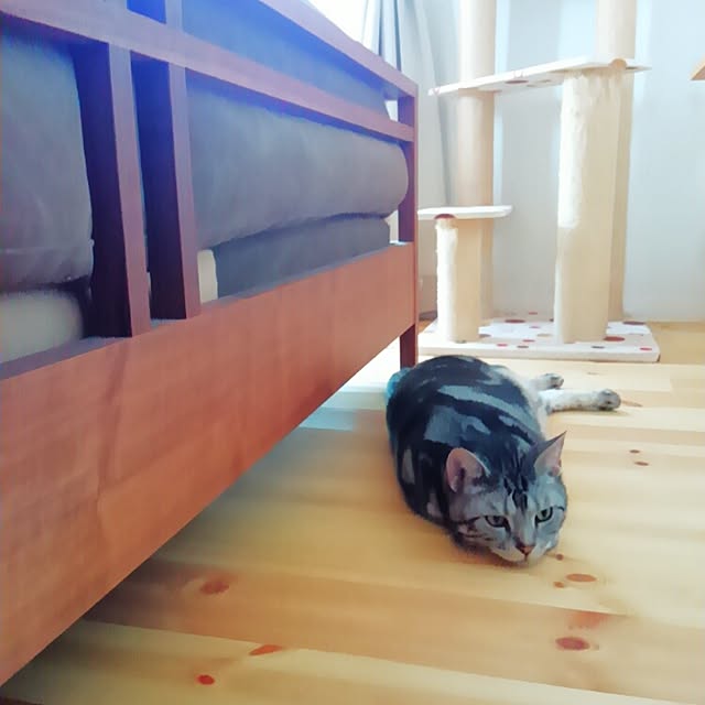 Hanakoさんの実例写真