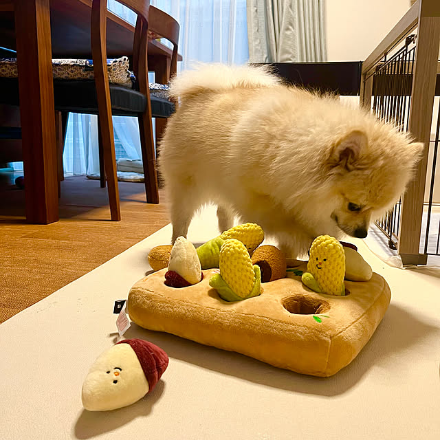 Aliceさんの部屋