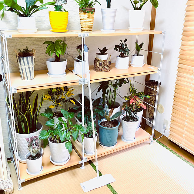 hanachanさんの部屋