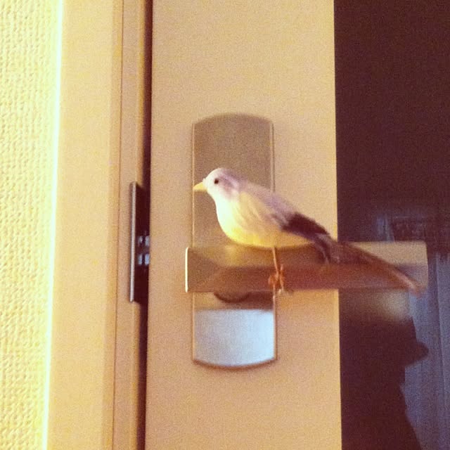 mihoさんの実例写真