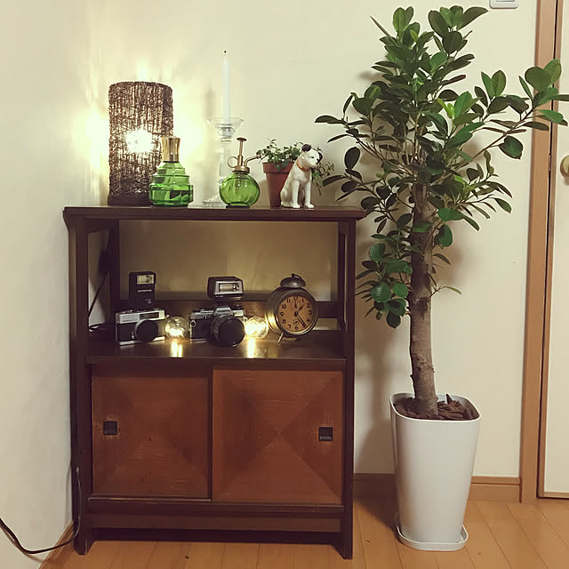 mikan161さんの実例写真