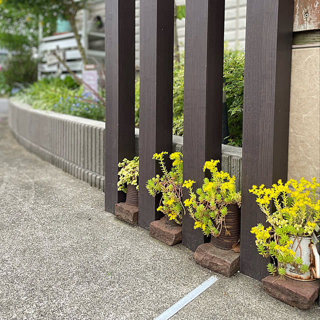 k.k.kinokoさんの実例写真