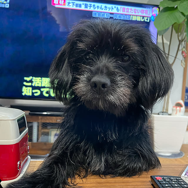marinkoさんの実例写真