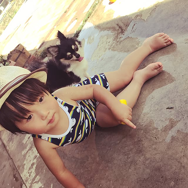 実例写真