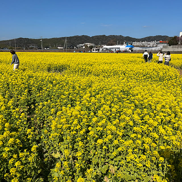 sakakenさんの部屋