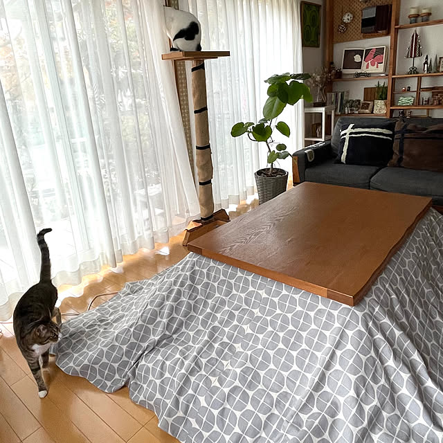 nobikoさんの部屋