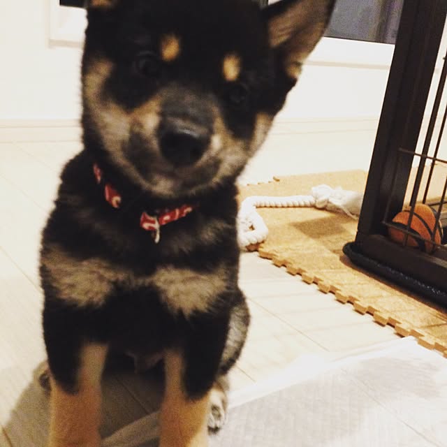 Yuさんの実例写真