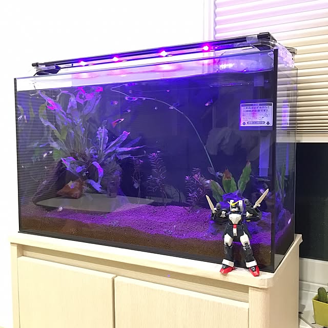 yu_uyさんの実例写真