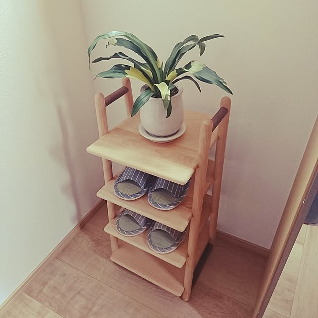 coral.sさんの実例写真