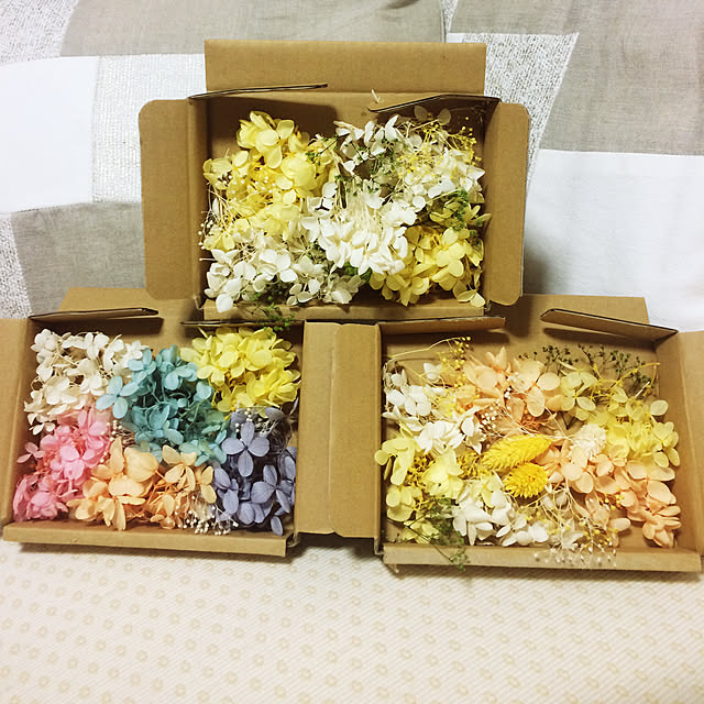 kuさんの実例写真