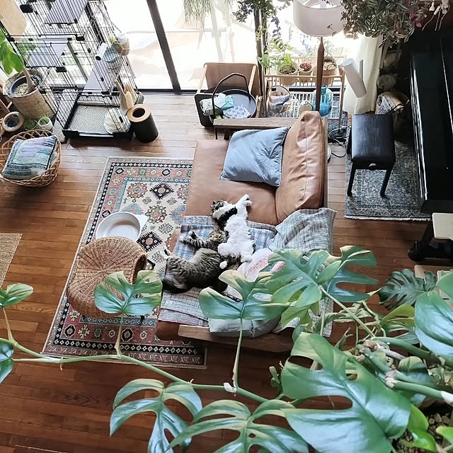 aya_meさんの部屋