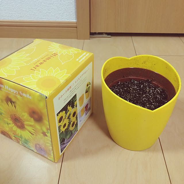 -non-さんの実例写真