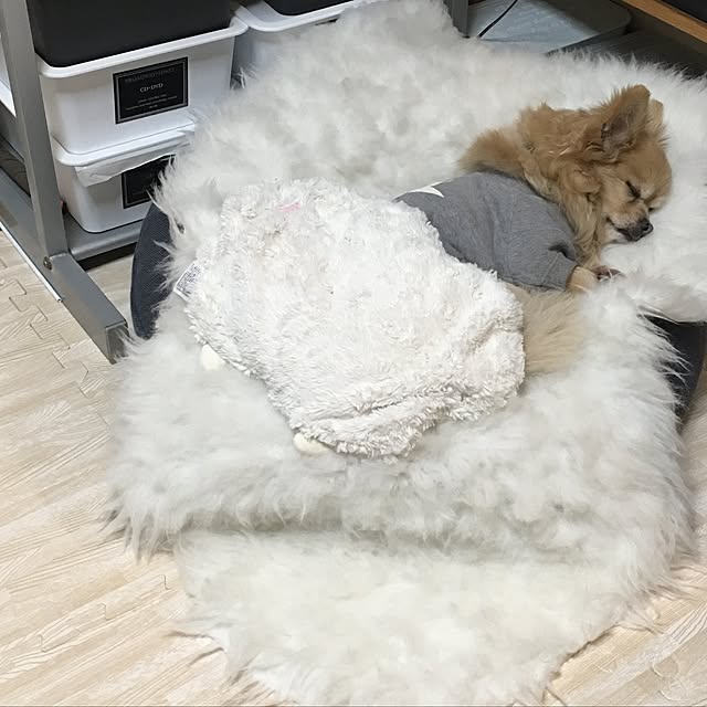 chocomamaさんの実例写真