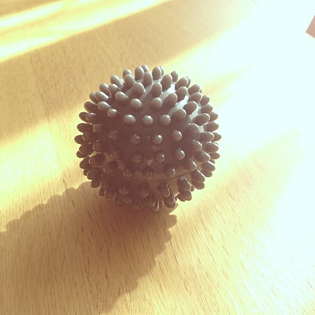 dicekbeetleさんの実例写真