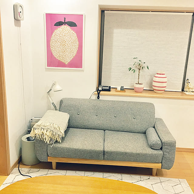 haritakaさんの実例写真