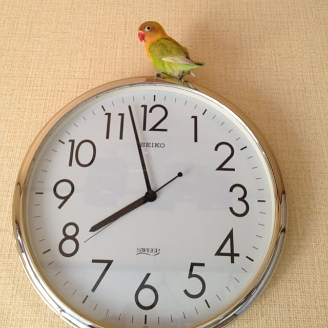 rima29さんの実例写真
