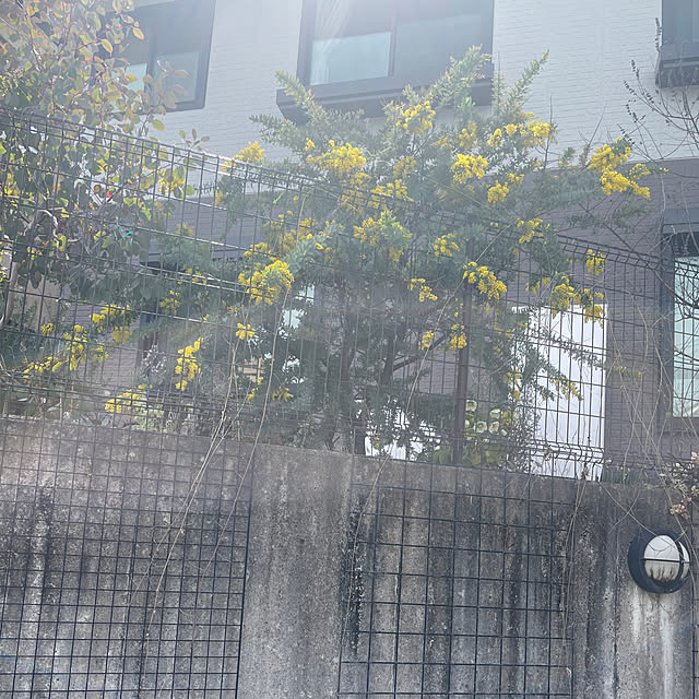 kikiさんの実例写真