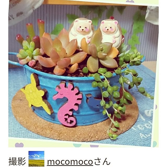 mocomocoさんの部屋