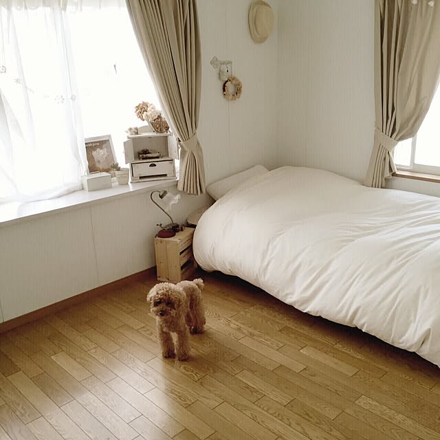 rookuさんの実例写真