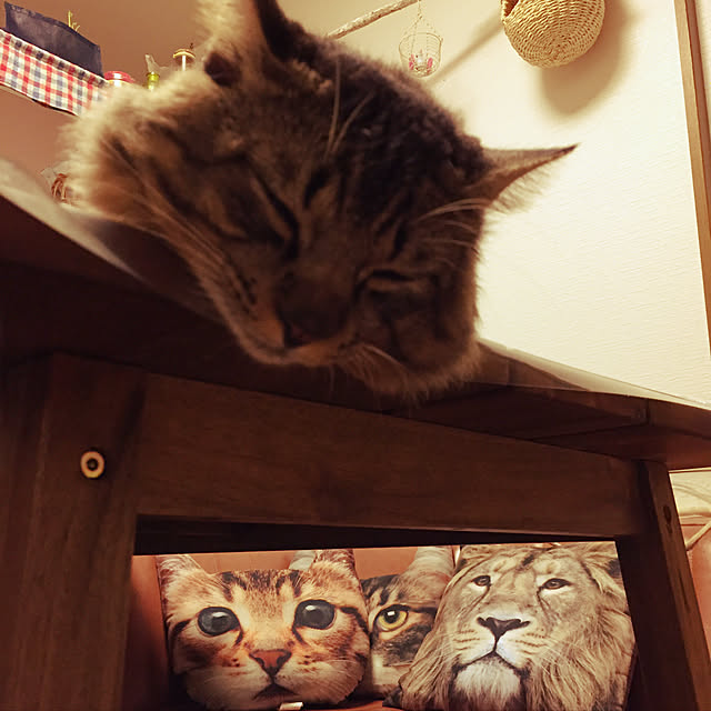 oniyomeさんの実例写真